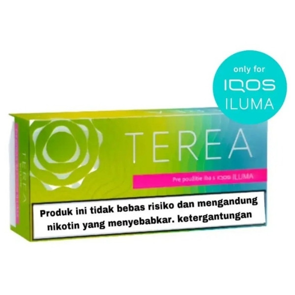 Terea Bright Wave Indonesian