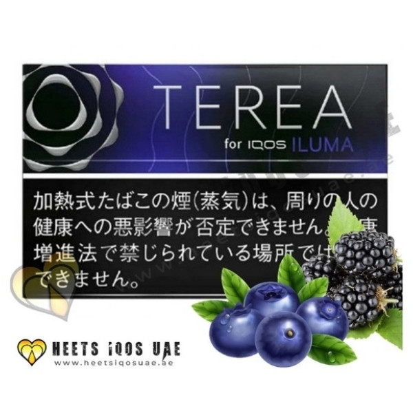 TEREA Black Purple Menthol