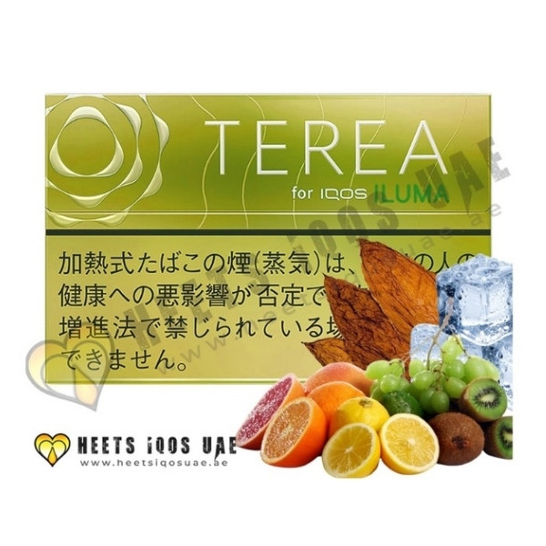 TEREA Bright Menthol