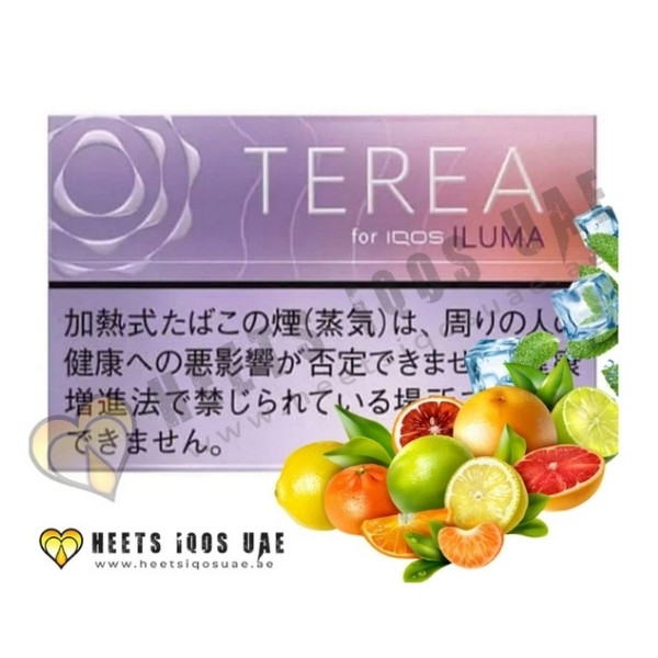 TEREA Fusion Menthol