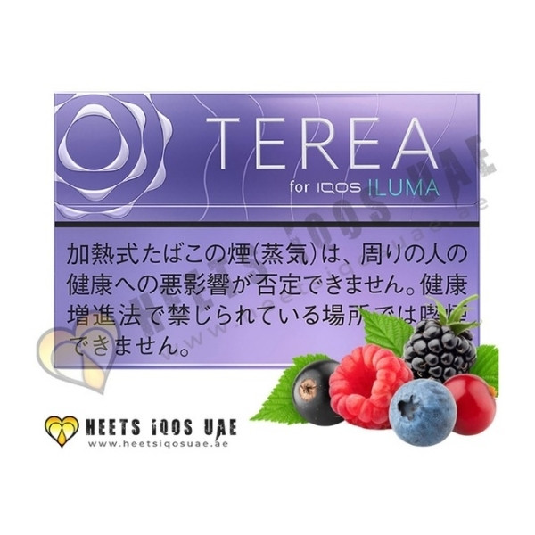 TEREA Purple Menthol